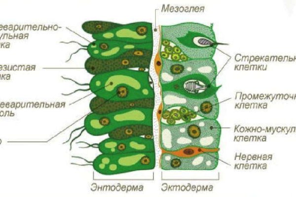 Как зайти на кракен через айфон