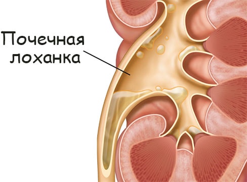 Кракен портал